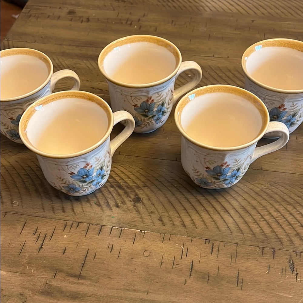 Mikasa garden club day dreams Floral Ceramic Mugs Set - Blue and Cream